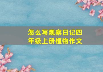 怎么写观察日记四年级上册植物作文