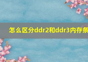 怎么区分ddr2和ddr3内存条