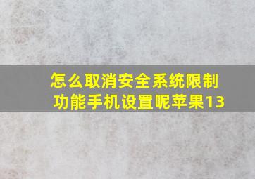 怎么取消安全系统限制功能手机设置呢苹果13