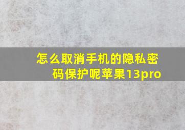 怎么取消手机的隐私密码保护呢苹果13pro