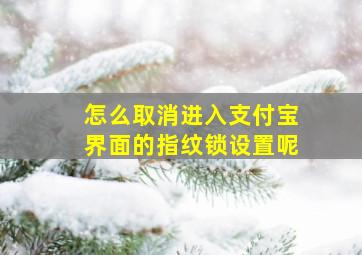 怎么取消进入支付宝界面的指纹锁设置呢