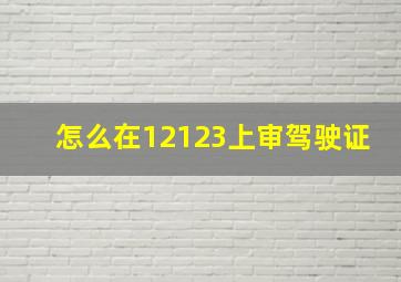 怎么在12123上审驾驶证