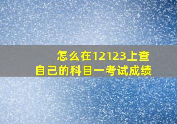 怎么在12123上查自己的科目一考试成绩