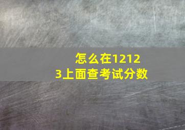 怎么在12123上面查考试分数