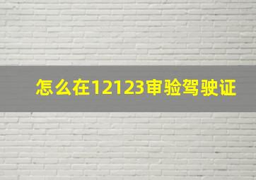 怎么在12123审验驾驶证