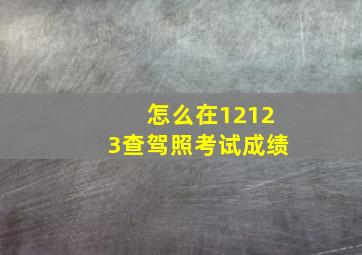 怎么在12123查驾照考试成绩