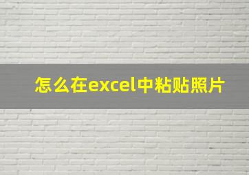 怎么在excel中粘贴照片