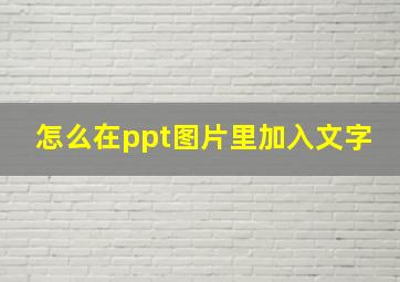 怎么在ppt图片里加入文字