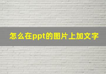 怎么在ppt的图片上加文字