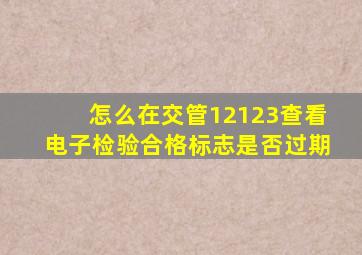 怎么在交管12123查看电子检验合格标志是否过期