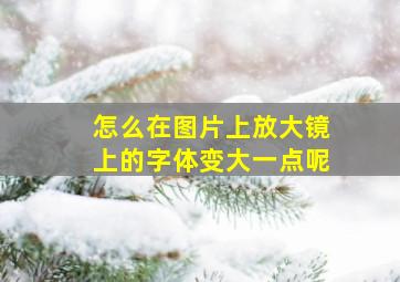 怎么在图片上放大镜上的字体变大一点呢