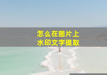 怎么在图片上水印文字提取