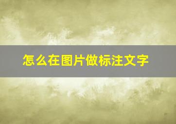 怎么在图片做标注文字