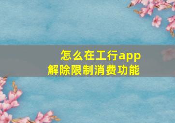 怎么在工行app解除限制消费功能