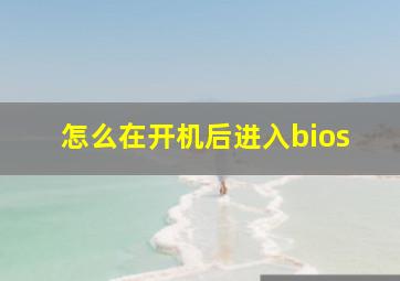 怎么在开机后进入bios