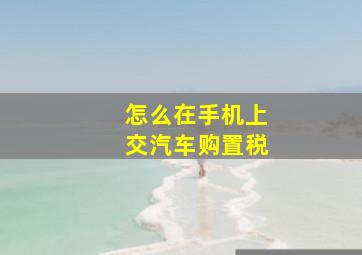 怎么在手机上交汽车购置税