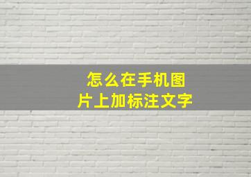 怎么在手机图片上加标注文字