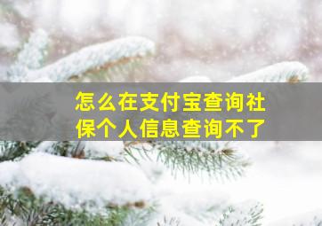 怎么在支付宝查询社保个人信息查询不了