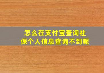 怎么在支付宝查询社保个人信息查询不到呢