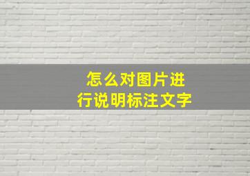 怎么对图片进行说明标注文字