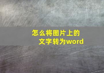 怎么将图片上的文字转为word