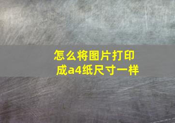 怎么将图片打印成a4纸尺寸一样