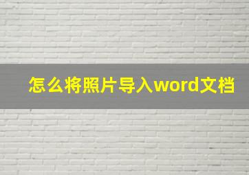 怎么将照片导入word文档