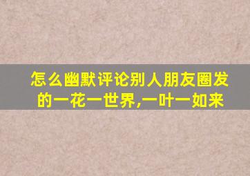 怎么幽默评论别人朋友圈发的一花一世界,一叶一如来