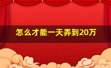 怎么才能一天弄到20万