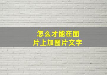 怎么才能在图片上加图片文字