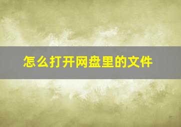 怎么打开网盘里的文件