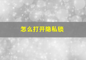 怎么打开隐私锁