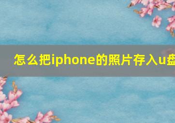 怎么把iphone的照片存入u盘