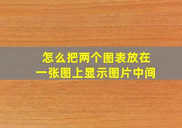 怎么把两个图表放在一张图上显示图片中间