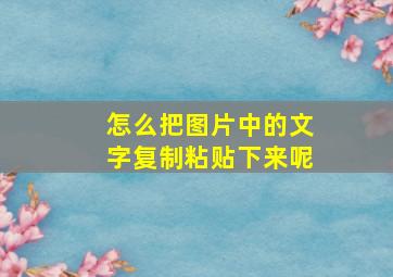 怎么把图片中的文字复制粘贴下来呢