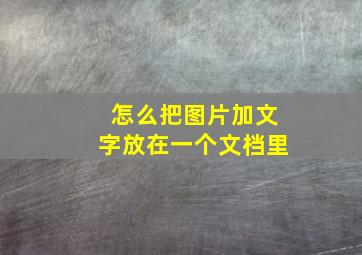 怎么把图片加文字放在一个文档里