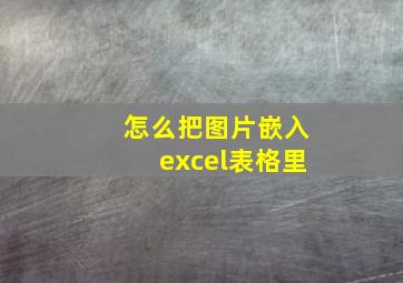 怎么把图片嵌入excel表格里