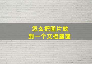 怎么把图片放到一个文档里面