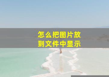 怎么把图片放到文件中显示