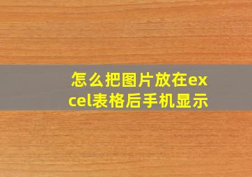 怎么把图片放在excel表格后手机显示