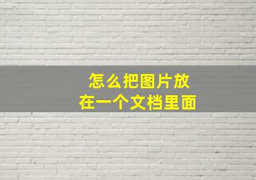 怎么把图片放在一个文档里面