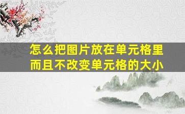 怎么把图片放在单元格里而且不改变单元格的大小