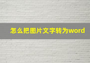 怎么把图片文字转为word