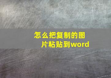 怎么把复制的图片粘贴到word