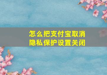 怎么把支付宝取消隐私保护设置关闭