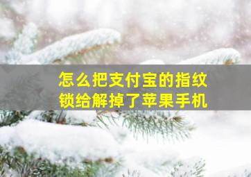 怎么把支付宝的指纹锁给解掉了苹果手机