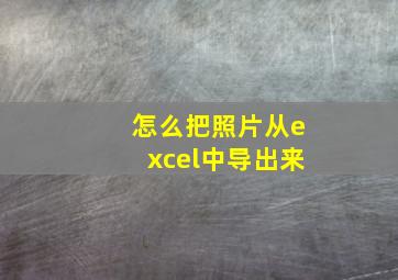 怎么把照片从excel中导出来