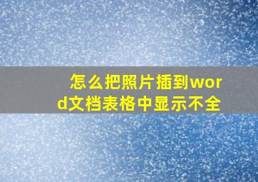 怎么把照片插到word文档表格中显示不全