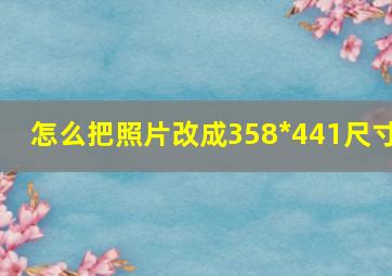 怎么把照片改成358*441尺寸