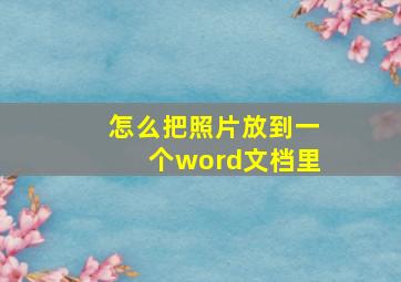 怎么把照片放到一个word文档里